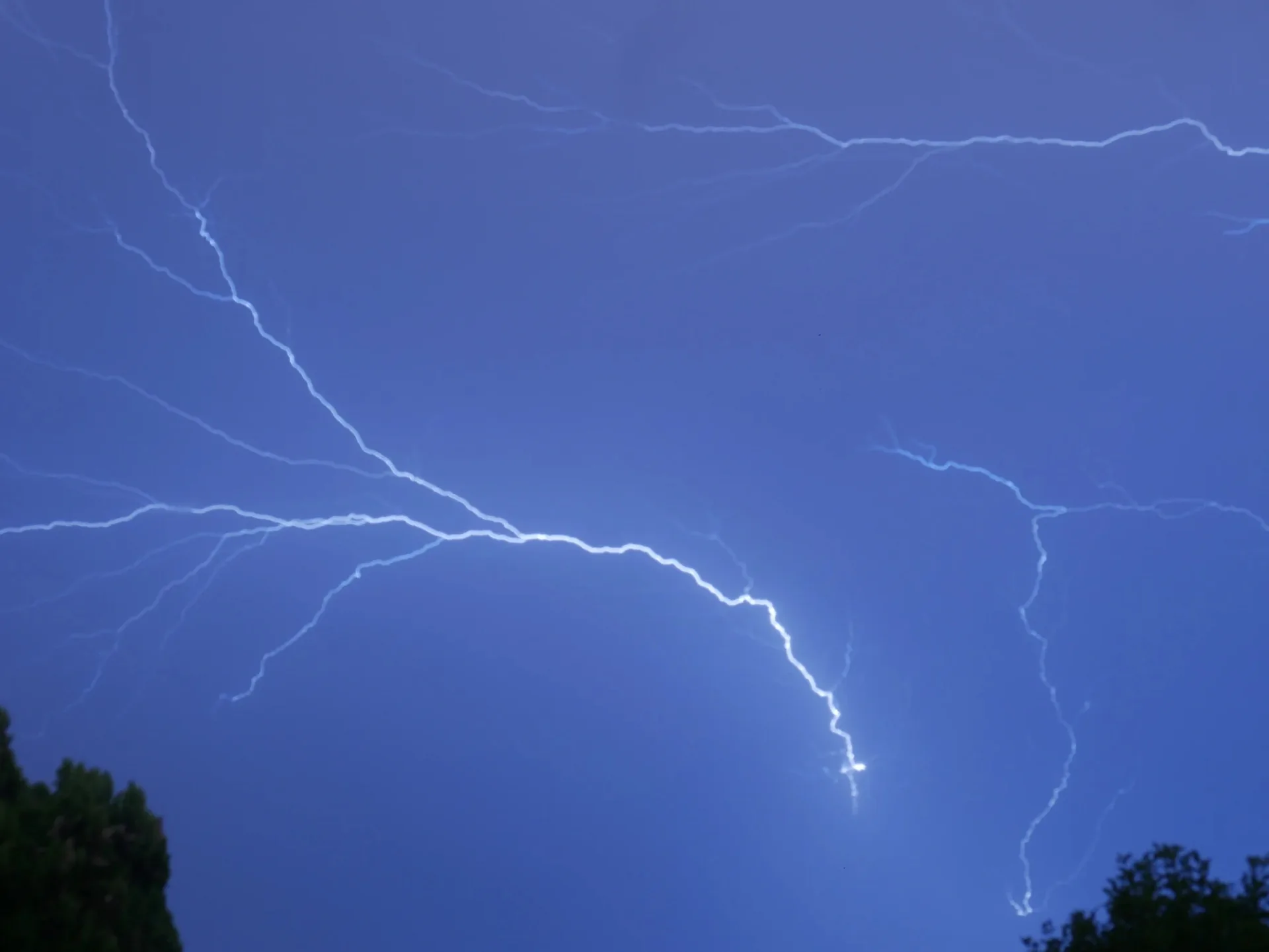 Éclair orageux en fourche sur un ciel bleu nuit avec arbres en silhouette