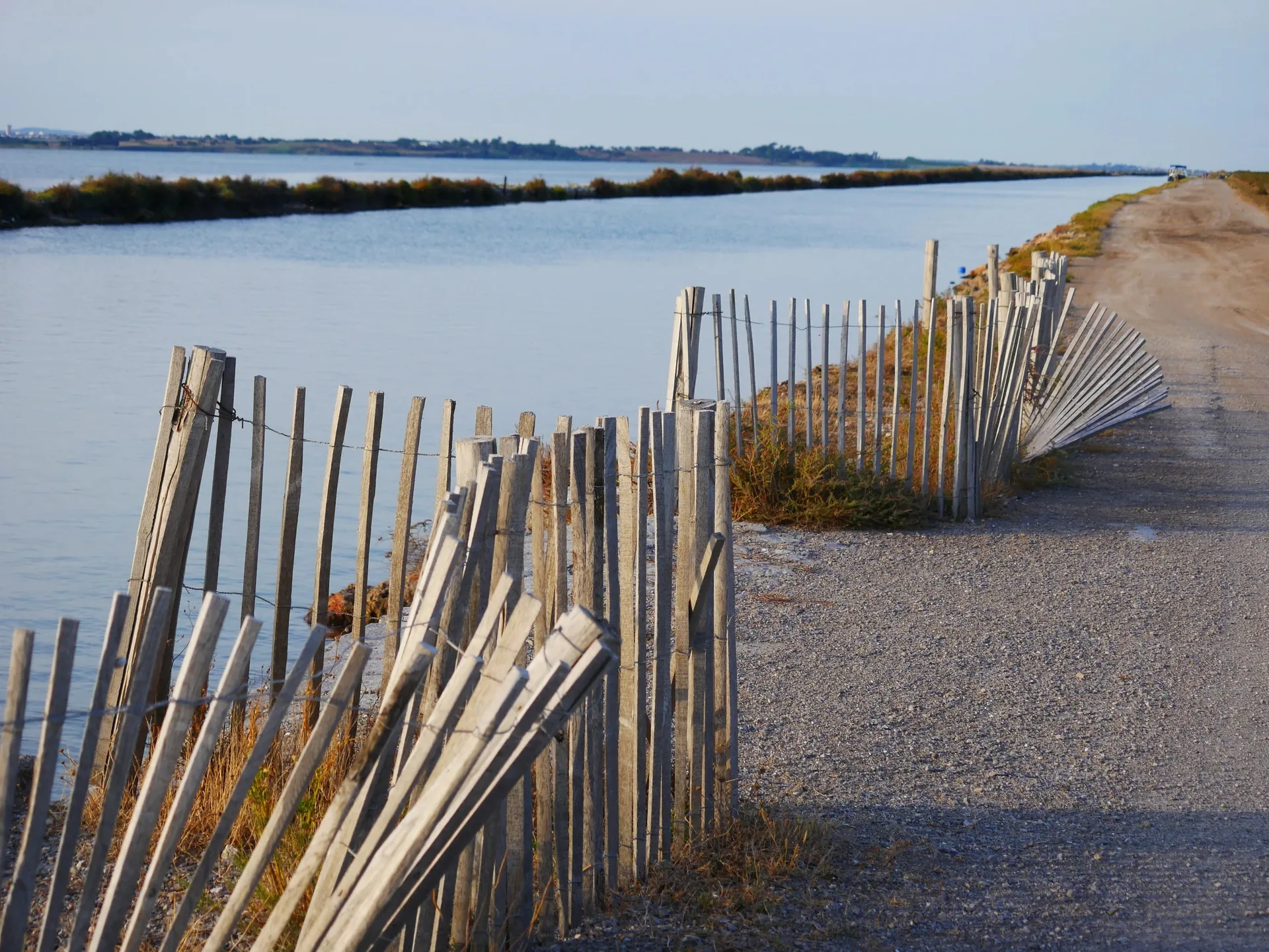 Chemin longeant un étang de Camargue avec clôture en bois sous lumière douce