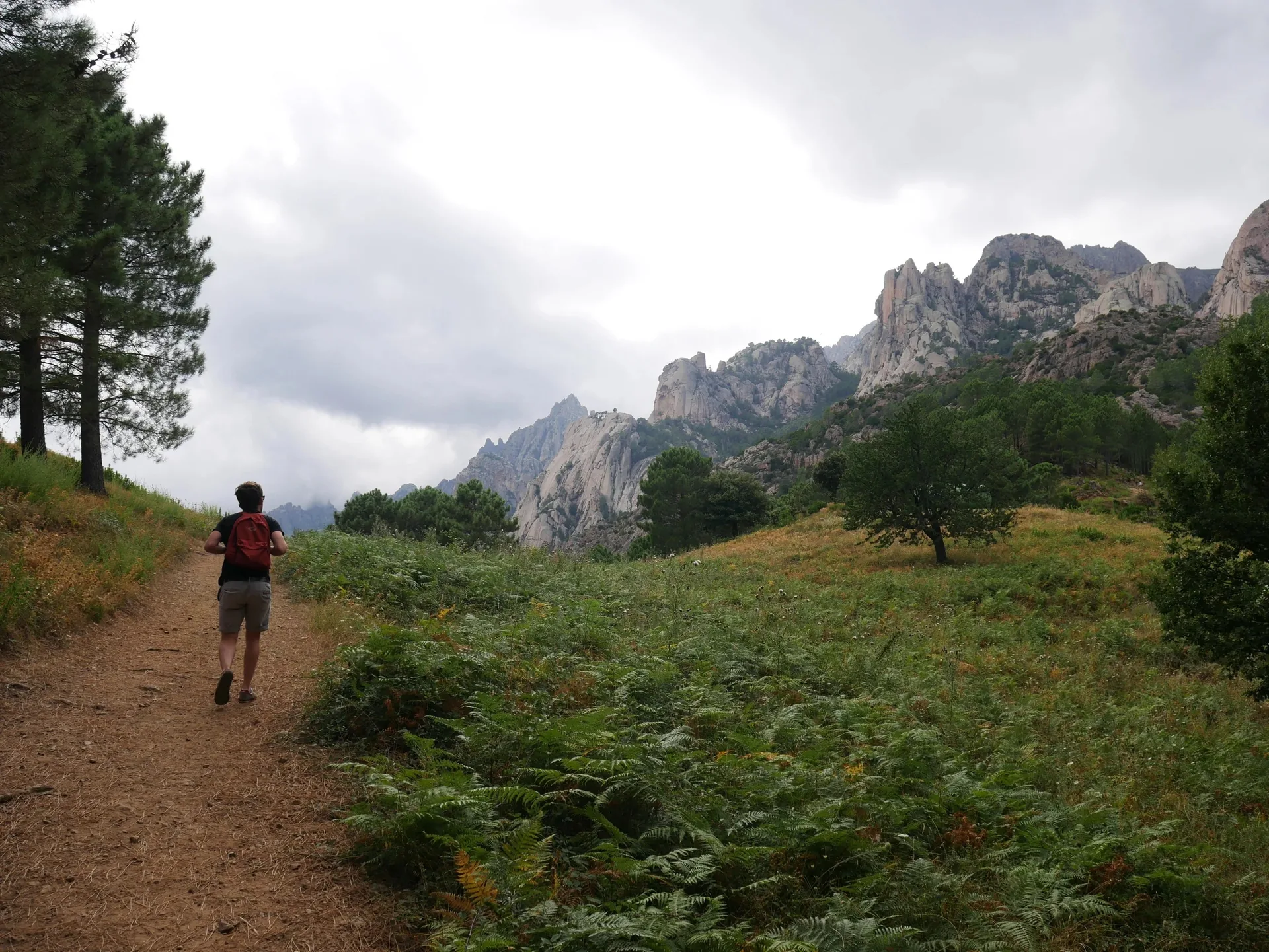 Randonneur sur sentier corse entouré de fougères face aux aiguilles de granit