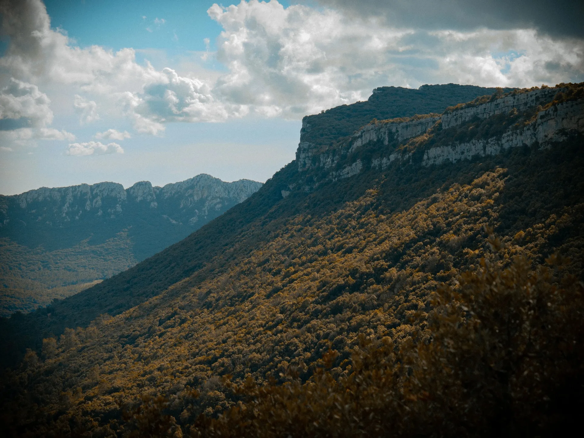 Panorama sur les falaises calcaires et la forêt d'automne en montagne