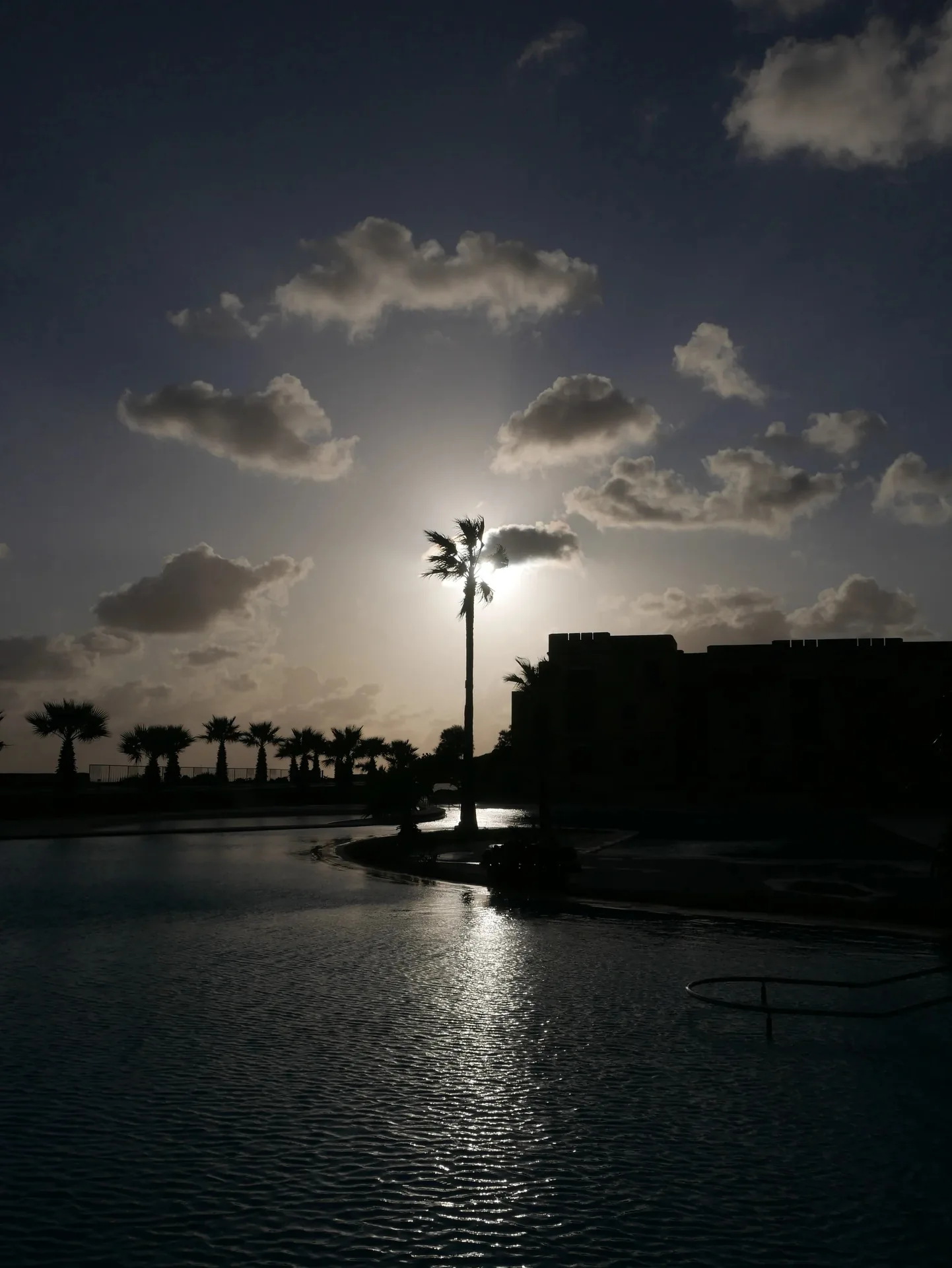 Silhouette d'un palmier près d'une piscine de resort face à un coucher de soleil dramatique